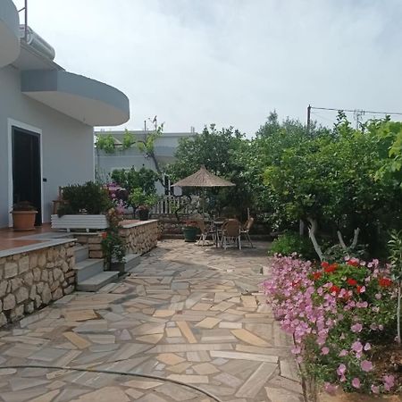 Vila Rexhaj Εξαμίλιο Εξωτερικό φωτογραφία