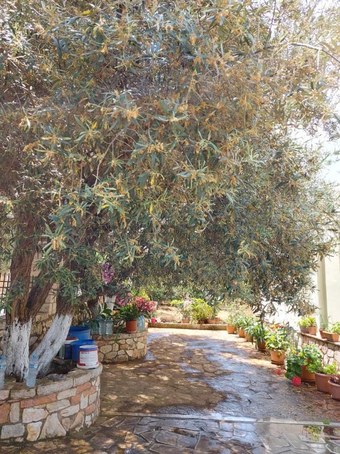 Vila Rexhaj Εξαμίλιο Εξωτερικό φωτογραφία