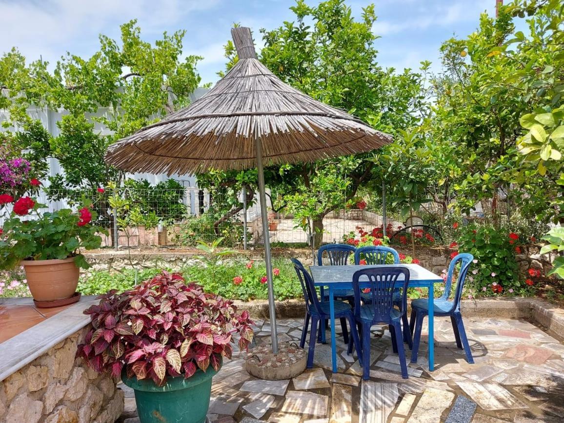 Vila Rexhaj Εξαμίλιο Εξωτερικό φωτογραφία